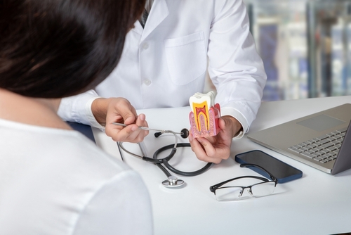 Oral Health and Heart Disease | Reduce Your Risk in Amherst, NY